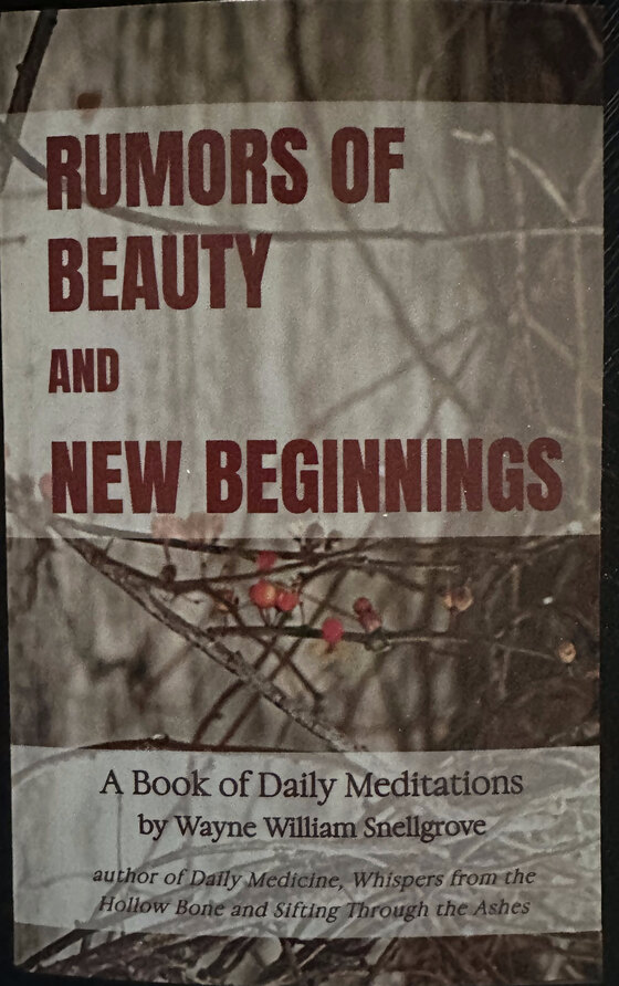 Rumors of Beauty and New Beginnings, by Wayne William Snellgrove, book cover