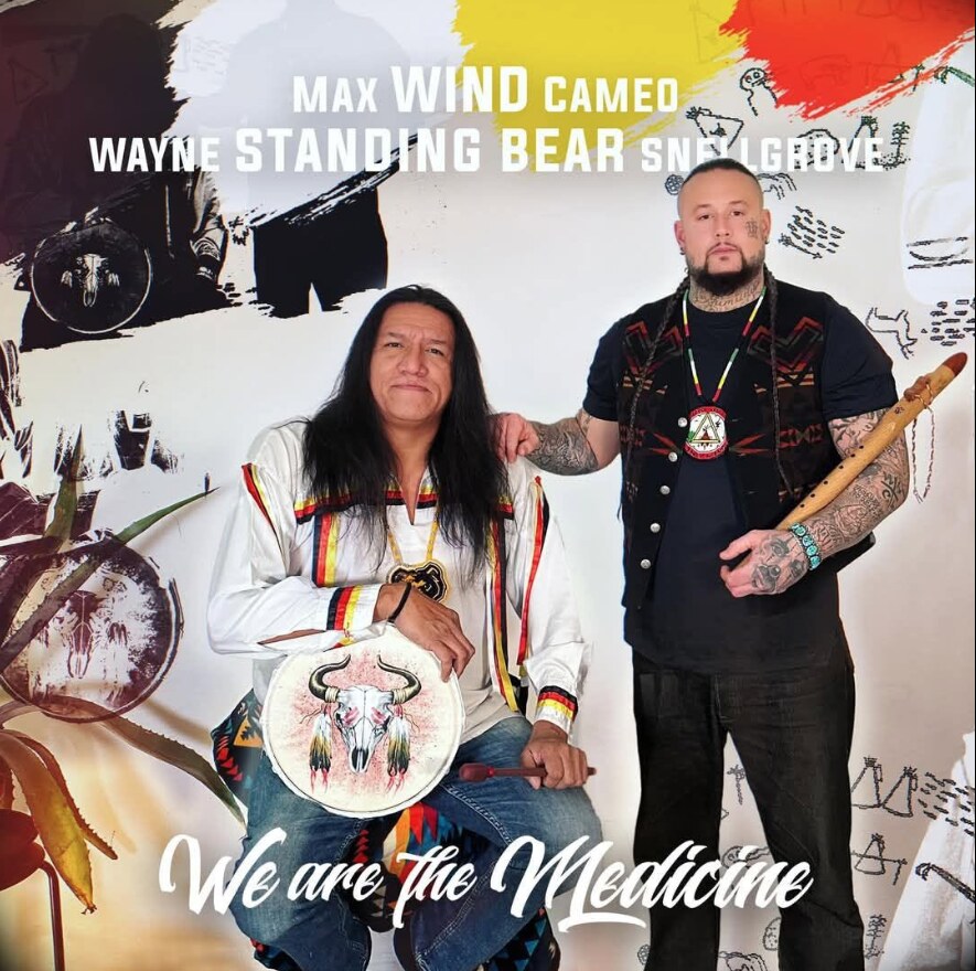 We Are the Medicine:album cover